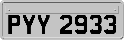 PYY2933