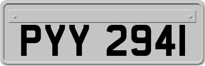 PYY2941