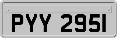 PYY2951