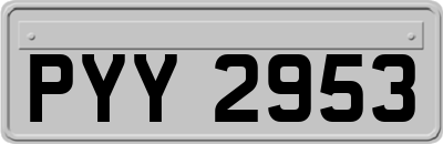 PYY2953