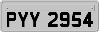 PYY2954