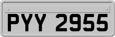PYY2955