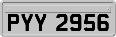 PYY2956