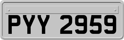 PYY2959