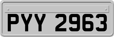 PYY2963