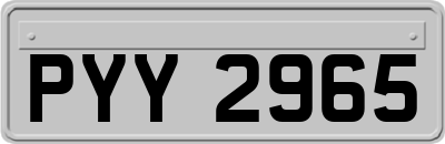 PYY2965
