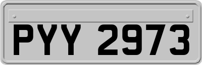 PYY2973