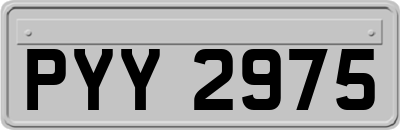 PYY2975