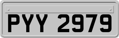 PYY2979