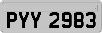 PYY2983