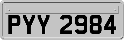 PYY2984