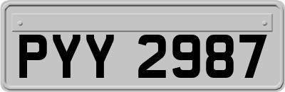 PYY2987