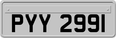 PYY2991