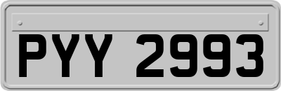 PYY2993