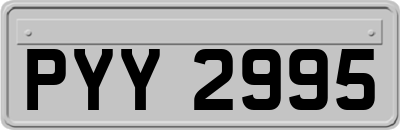 PYY2995