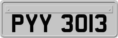 PYY3013