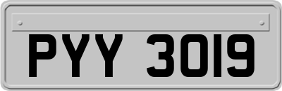 PYY3019