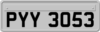 PYY3053