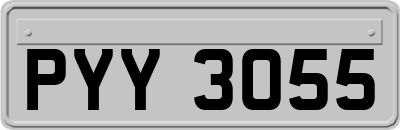 PYY3055