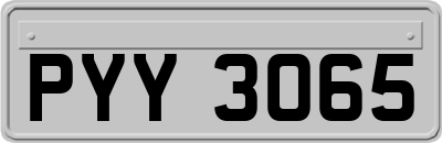 PYY3065