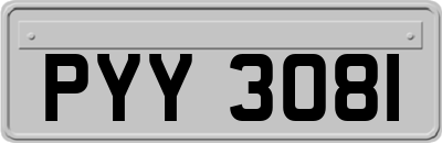 PYY3081