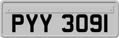 PYY3091