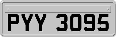PYY3095