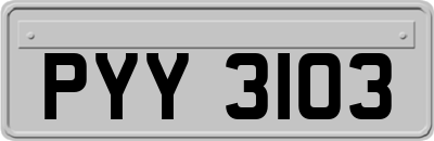 PYY3103