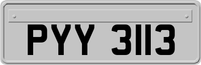 PYY3113