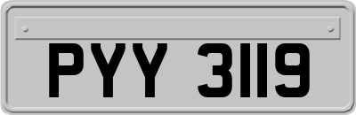 PYY3119