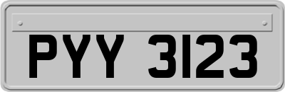 PYY3123