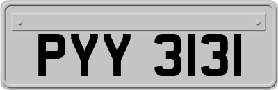 PYY3131