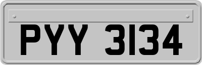 PYY3134