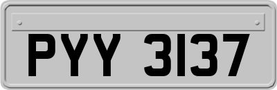 PYY3137