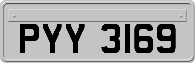 PYY3169