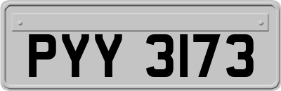 PYY3173
