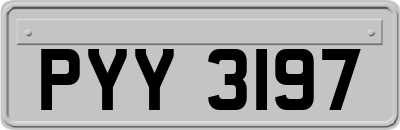 PYY3197