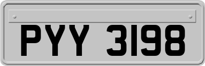 PYY3198