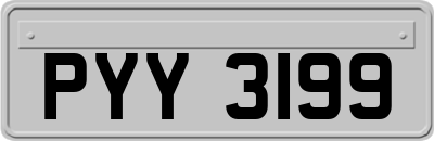 PYY3199