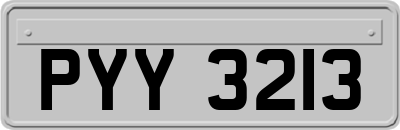 PYY3213