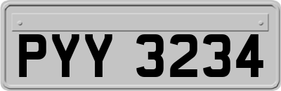 PYY3234