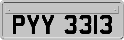 PYY3313
