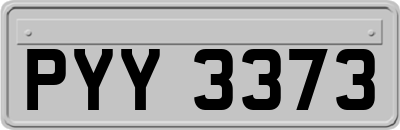 PYY3373