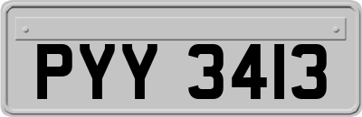 PYY3413