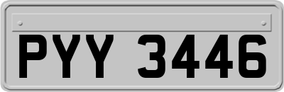 PYY3446