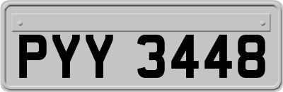 PYY3448