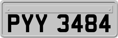 PYY3484