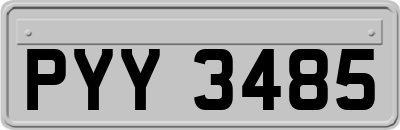 PYY3485