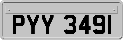 PYY3491