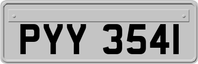 PYY3541